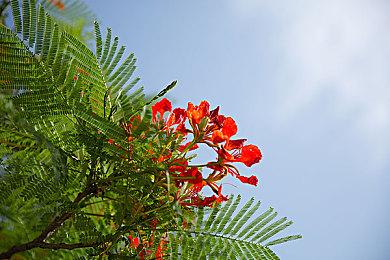 《伊苏-北境历险-》公开新角色与夺回岛屿的特殊战斗「夺还战」等最新消息！